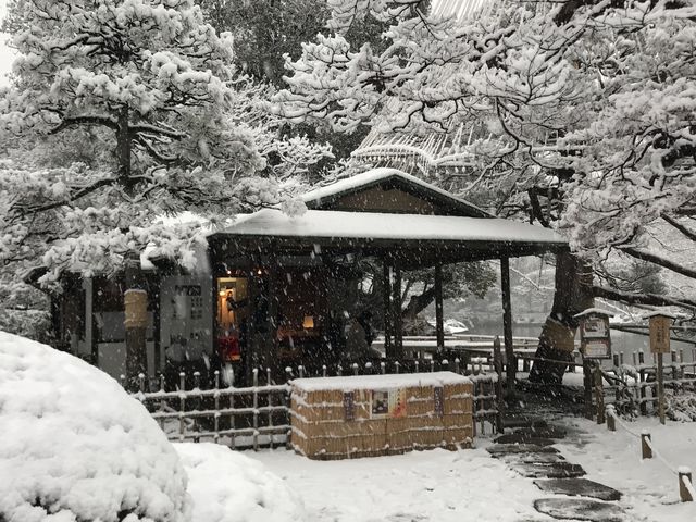 �y�Z�`���@���㒃���z��̒��ɂۂ�Ƃ�����_�Z�`���@���㒃��