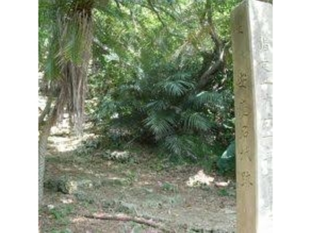 �W�����O���݂���_���c�����