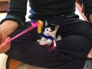 񂳂̕یLƃJtF@jƂ҂̓eʐ^3