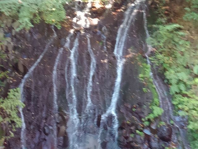 ����������ꂢ�ȑ�_���|�̑�