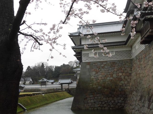 �D_����� �܏\�Ԓ���