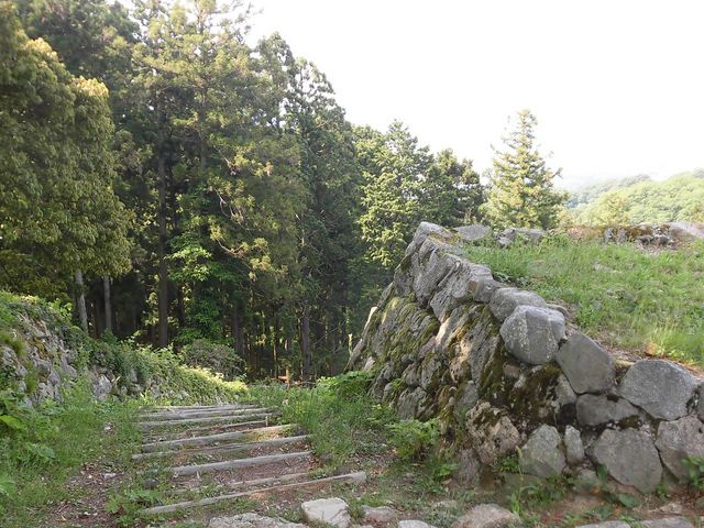 �E_�������