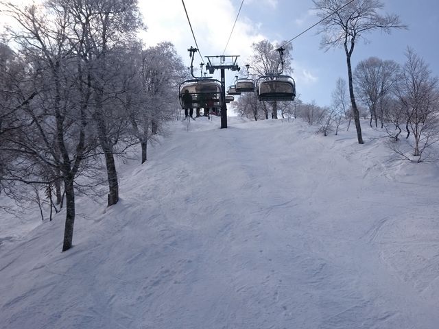 ��򉷐�X�L�[��̂�܂т��Q�����f�S�l��胊�t�g��蒸������グ�ĎB�e�i�і��R����t�߂ŎB�e�j_�і��R