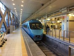 SAKURȀc}dSւ̓eʐ^1