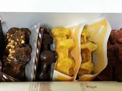 肳Manneken JROm{wXւ̓eʐ^1