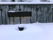 L^J̊wZH˂̒n̓eʐ^1