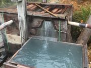 ܂Ƃ񂿂񂳂̑[̓eʐ^2