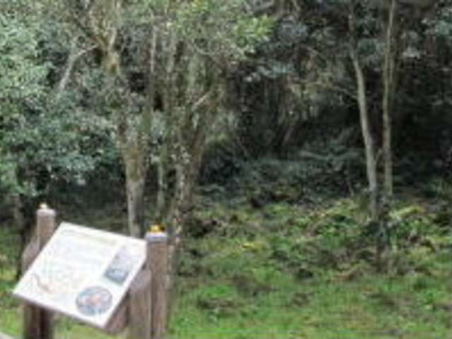 }RREC^`oin_}RREC^`oin