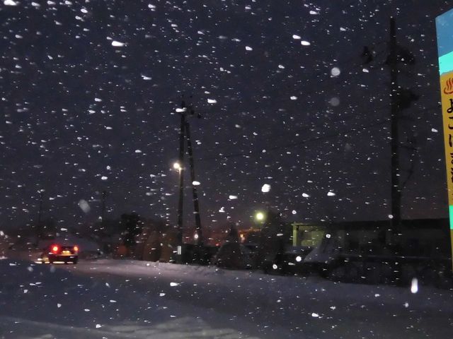 �@_�悱�͂܉���