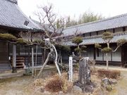 ���ڂ炳��̍L�����̓��e�ʐ^3