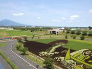 Ђ͂񂳂̖퐶̗W]̓eʐ^1