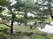 ڂ肳̔ˏՁiOj̓eʐ^5