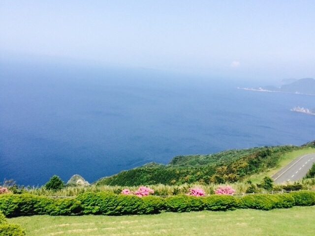 ���ꂢ�ł��I_����~�i�R��������s�j