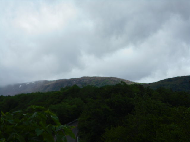 �����x_�����x