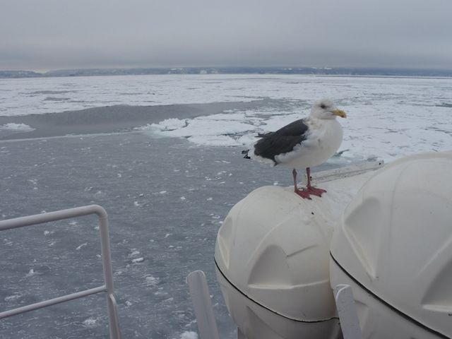 lɊĂ̂Dł낮JB_ԑXόӕXD[