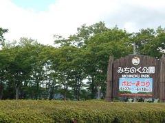 񂳂̍ĉ݂m̌ΔȌւ̓eʐ^1