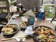 ̃RTC oC `FfBA̓eʐ^1