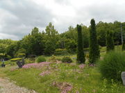 ��������񂳂�̐����R�̐X�����̓��e�ʐ^1