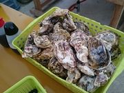 ܂܂̐Lhہ@X؂̓eʐ^1