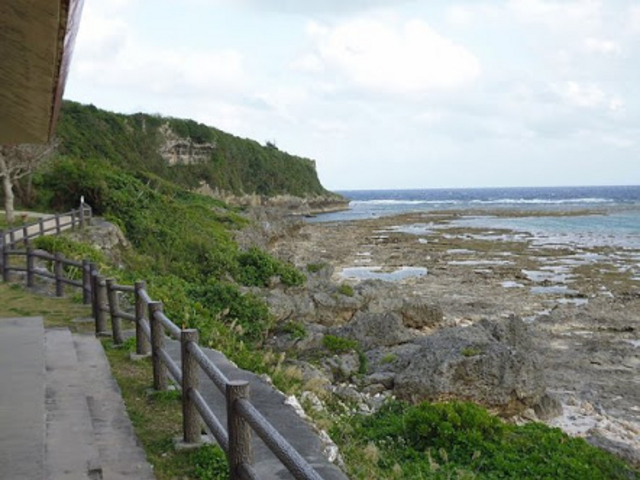 �W���������Y_��x�l�C��
