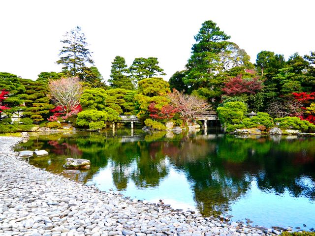 泉回遊式庭園。小さいながら、引き締まった景観です_京都御所