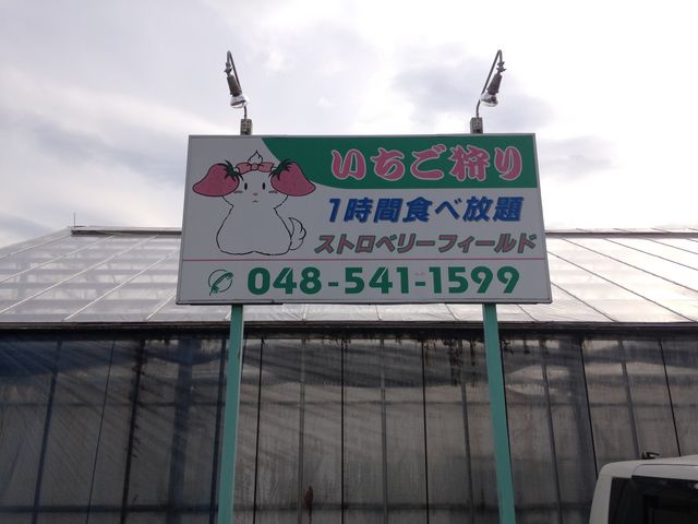 ���X�̊Ŕł��B_�X�g���x���[�t�B�[���h