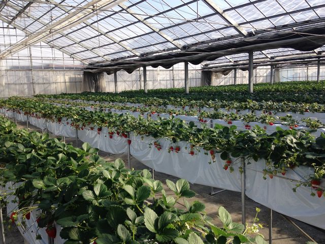 ����Ȋ����Ȃ̂ŗ������܂܂�������肪�o���܂���_�X�g���x���[�t�B�[���h