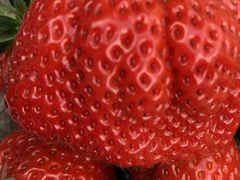 肿̕ct@[@x[ւ̓eʐ^1