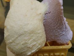 ˂܂邳̃L~m[Jւ̓eʐ^1