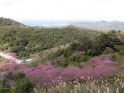 ڂ肳̔dx̍؂̓eʐ^6