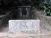 ڂ肳̈ɔgQ̓̕eʐ^3