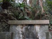 ڂ肳̈ɔgQ̓̕eʐ^4