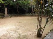 ڂ肳̈ɔgQ̓̕eʐ^5