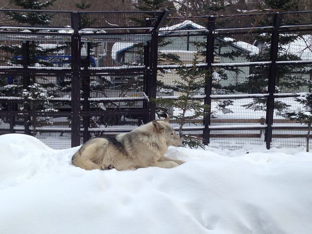 �T����_�~�R������