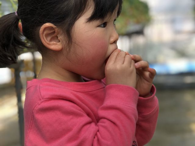 �������񂢂������܂����B_�`���z�Ƒ�n�̌b�݁`�Ό��_��