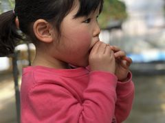 JiL[́`zƑňb݁`Ό_ւ̓eʐ^1