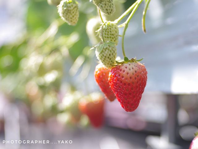 �Â��͕P������_���R��������