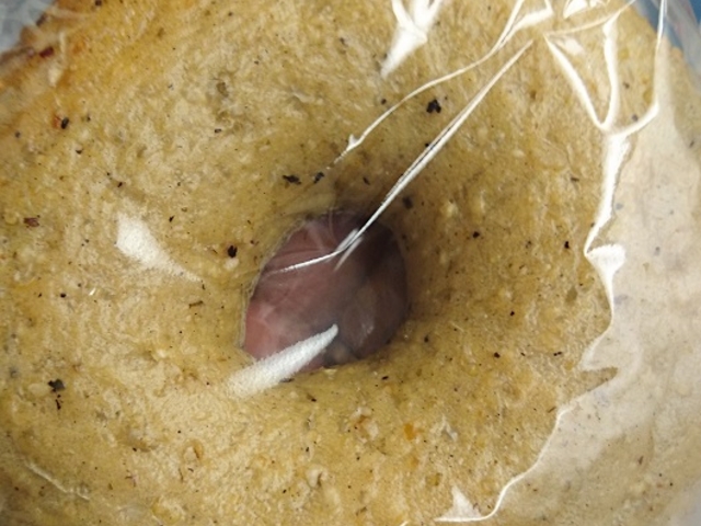 ȁ[̃x[O&x[OAXeBÉX̓eʐ^1