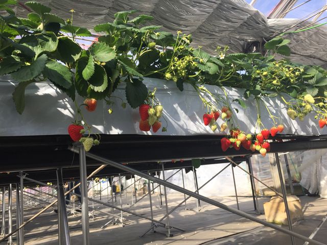 �������A������܂���(^^)_���R��������