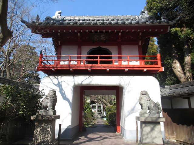 ���{����C���[�W����̗l�Ȗ�_���ގ�