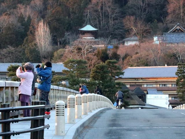 ���o�̎B�e��_�n����