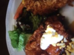 �}�J��������̃��C�����z�X�g�H�]�X�ւ̓��e�ʐ^1