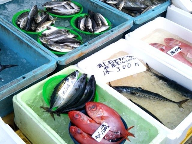 ���Y�̋�_���Y�̒��s