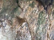 poporon̐同̊CH̓eʐ^1