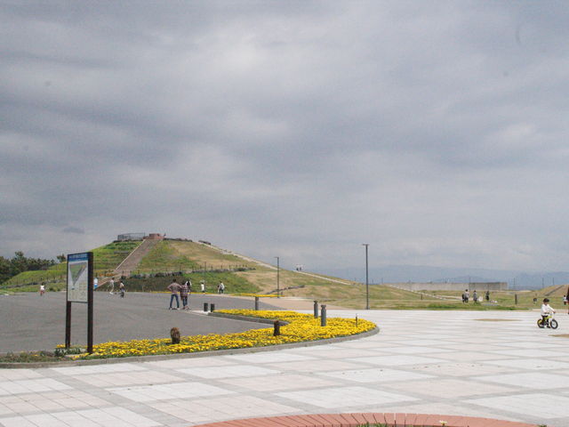 cq̉Y݂Ȃƌ_ӂ̂ɓcq̉Y݂Ȃƌ