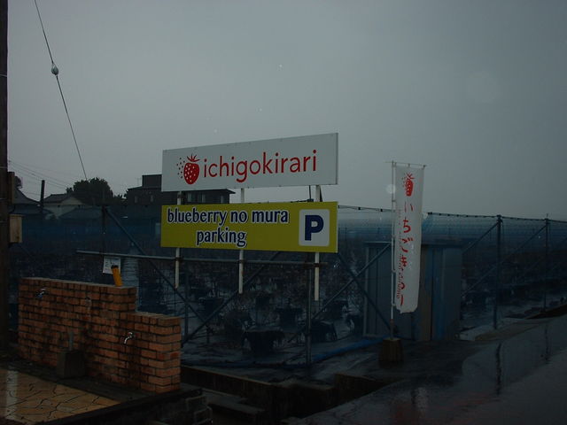 �����������_�����������