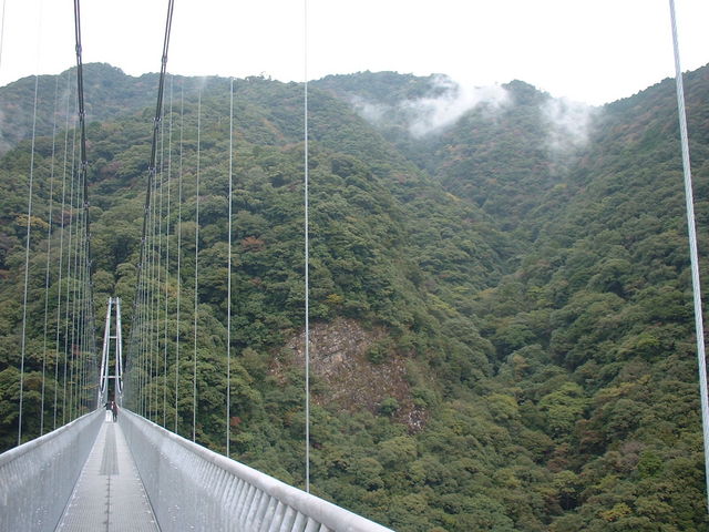 �Ɨt��݋�_�Ɨt��݋�