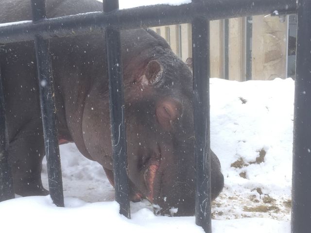 -10���̃J�o_���R������