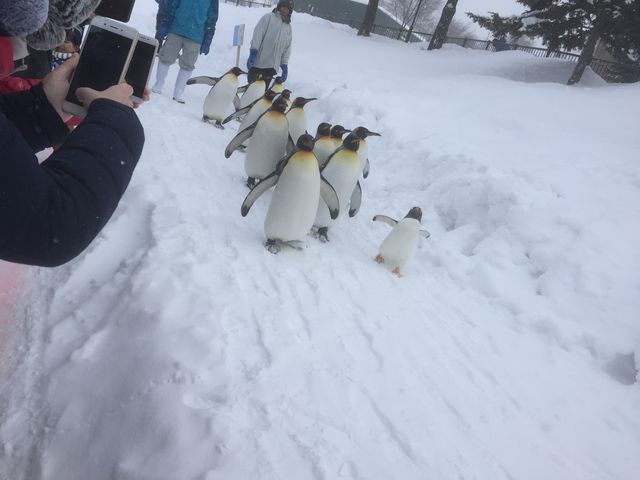 ���̂���H�����������Ă�W�F���c�[_���R������