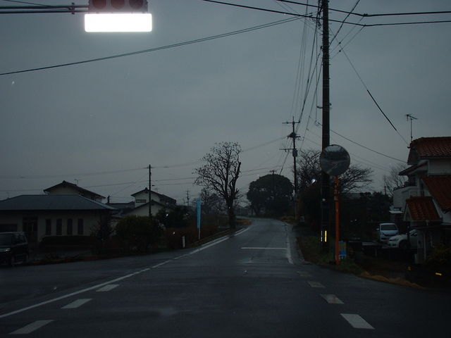 ���H����_�v���Ďs�̃R�X���X�X��